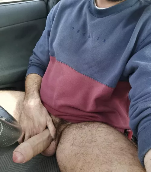 Wanna go for a ride? 🐎