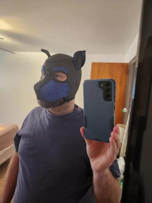 Frisky hood arrived! but I like the standard muzzle better. thoughts?