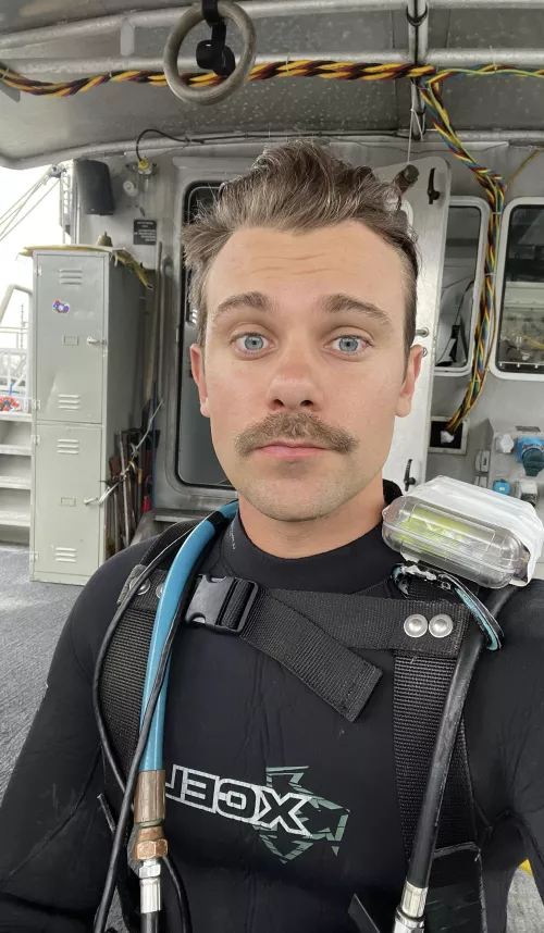 Good day for a dive…