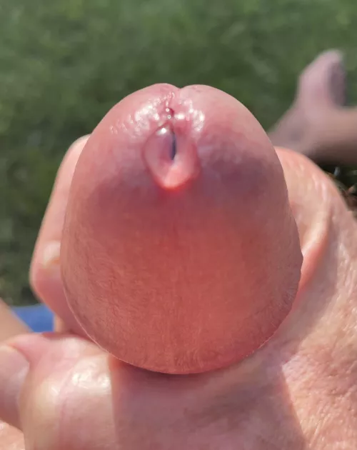 Got a nice drip today