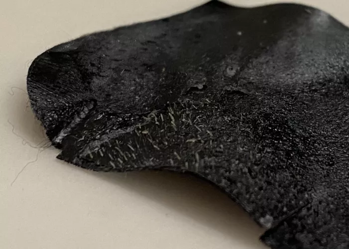 It ain’t much but it’s honest work