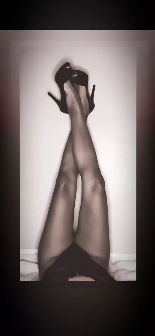 Long legs give the best views