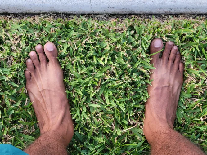 love an early morning walk on the grass 🌅