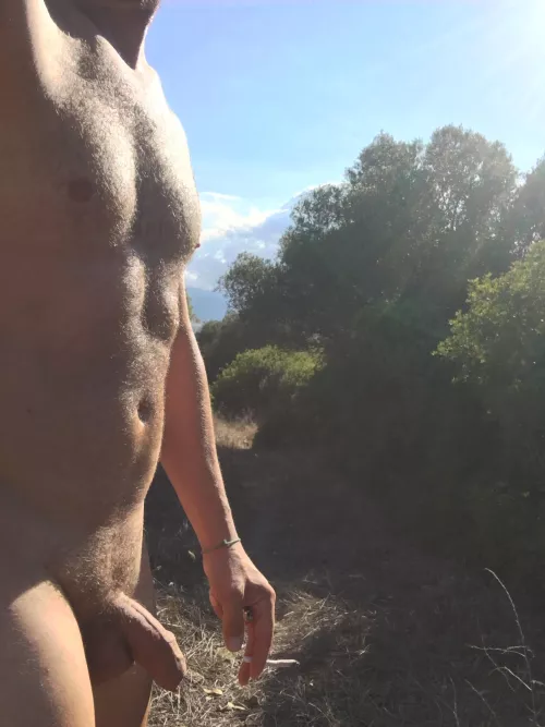 On the little forest[M]
