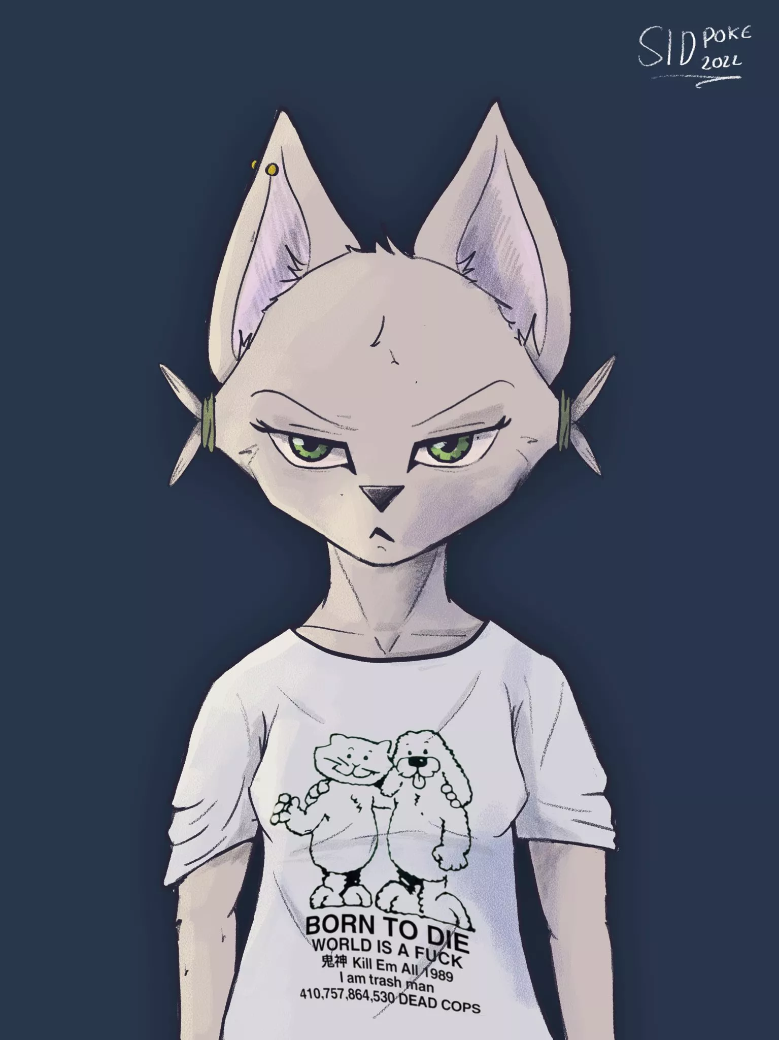 The best T-Shirt on this planet [Twitter: sidpokeOfficial]