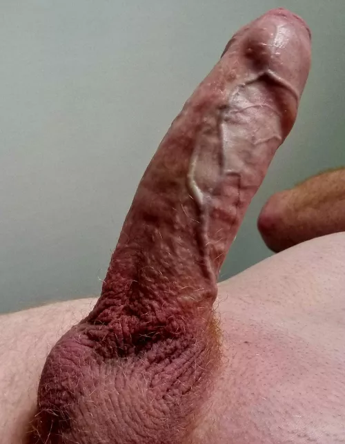 Would you clean you wife's ass off me before I fucked yours?