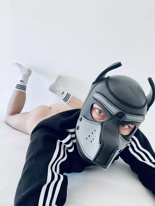 Are you looking into my eyes or at my 🍑? Both would be ok, I will lick you anyways… 🐾👅 Twitter: @lace_pup
