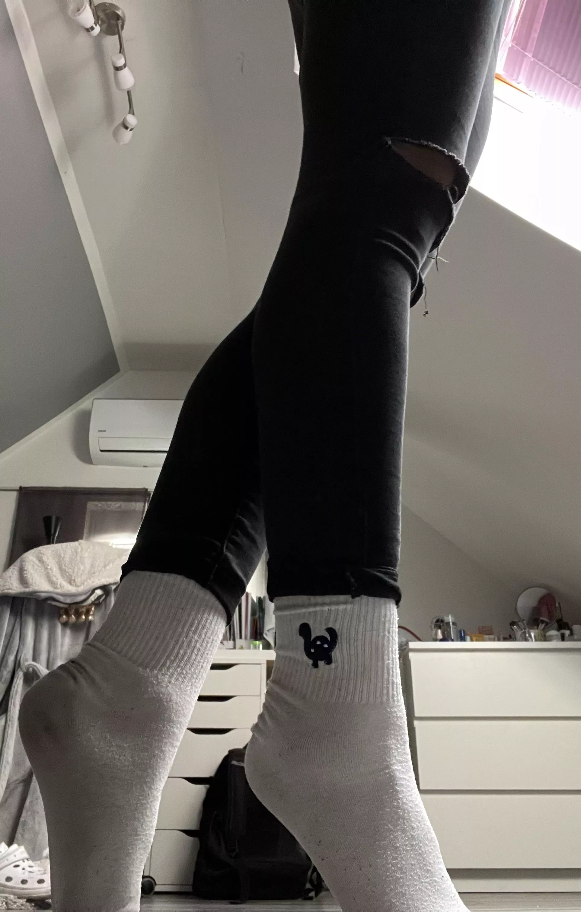 Dino socks