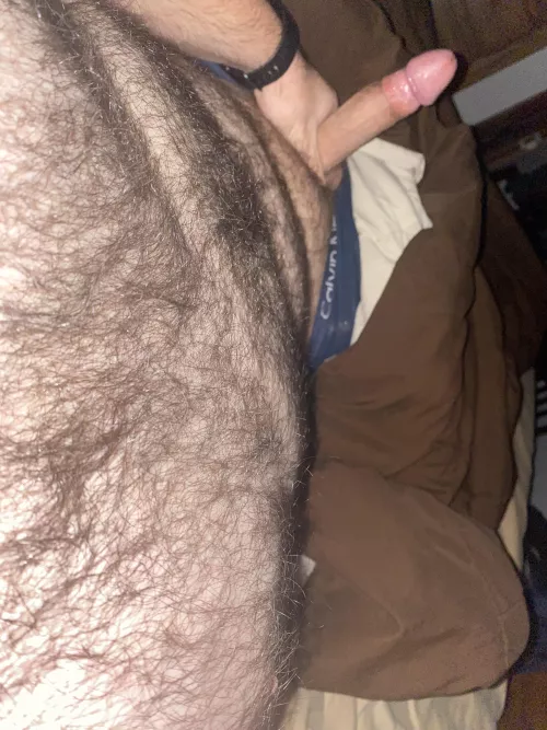 My view of it this morning