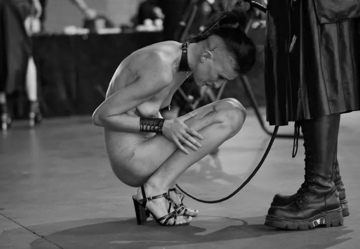 pictures speak louder than words