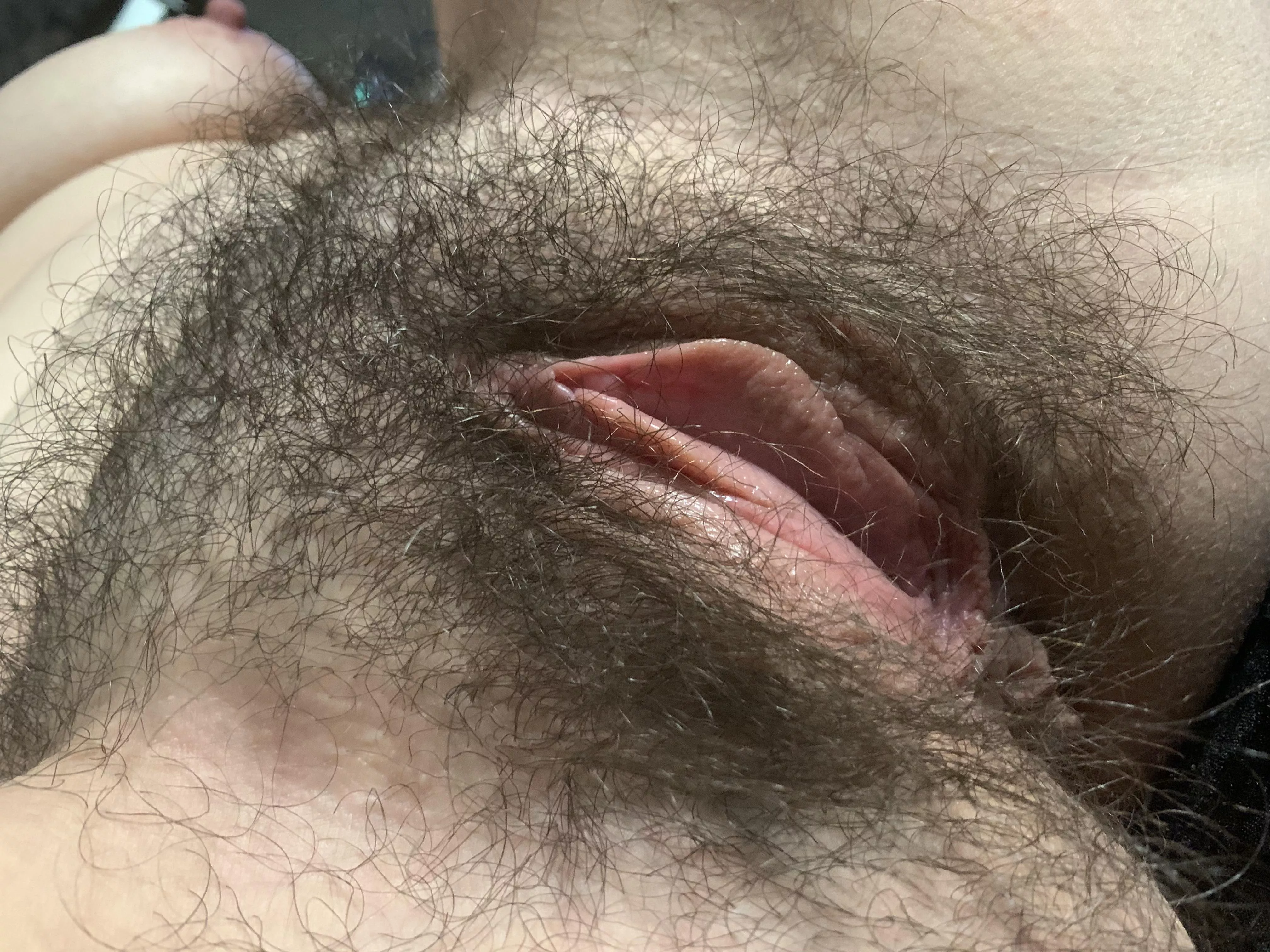 Thoughts?