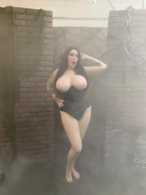 Who loves my pumpkins 🎃 Happy Halloween [OC]