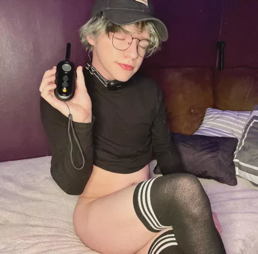 Who wants to teach me some tricks with my shock collar? 🐱