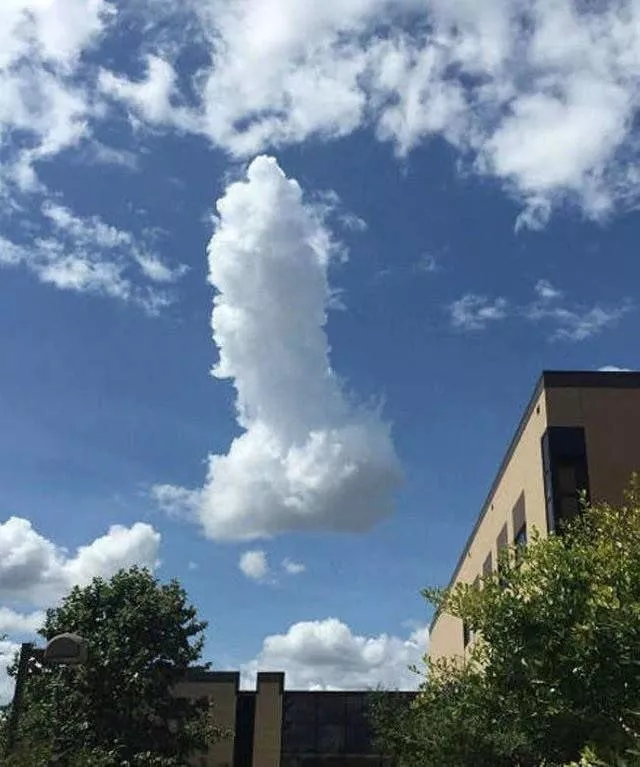 Biggest cock I’ve seen 😂😮