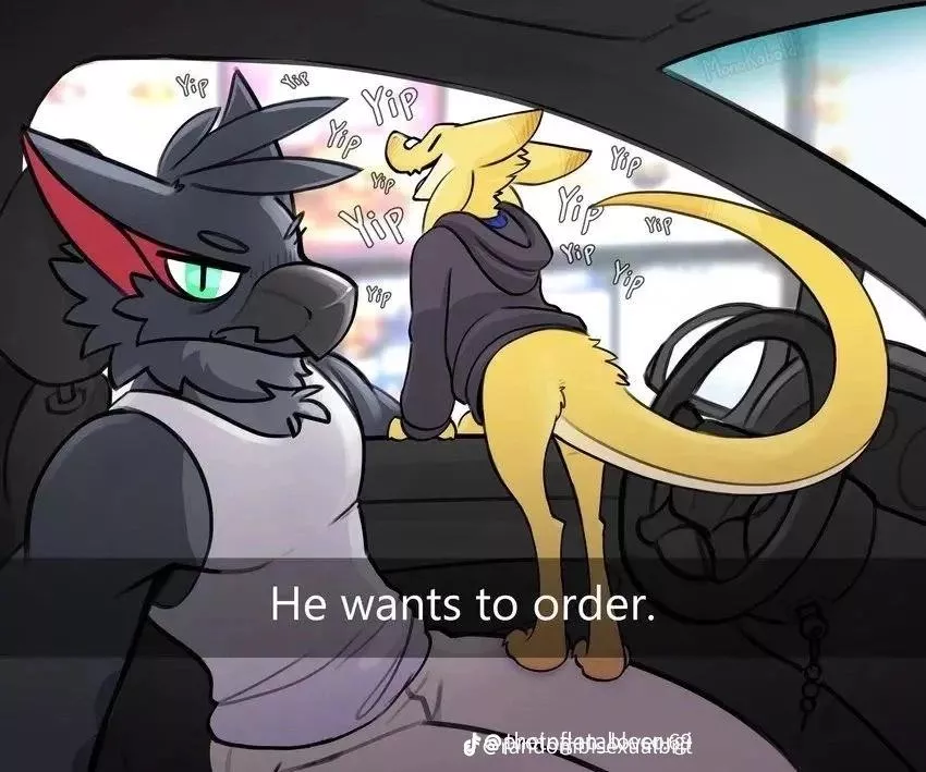Does anybody know what the tiny yipping thing is? I wanna make a fursona of one but I don't know the name. Does anybody know what the tiny yipping thing is? I wanna make a fursona of one but I don't know the name.