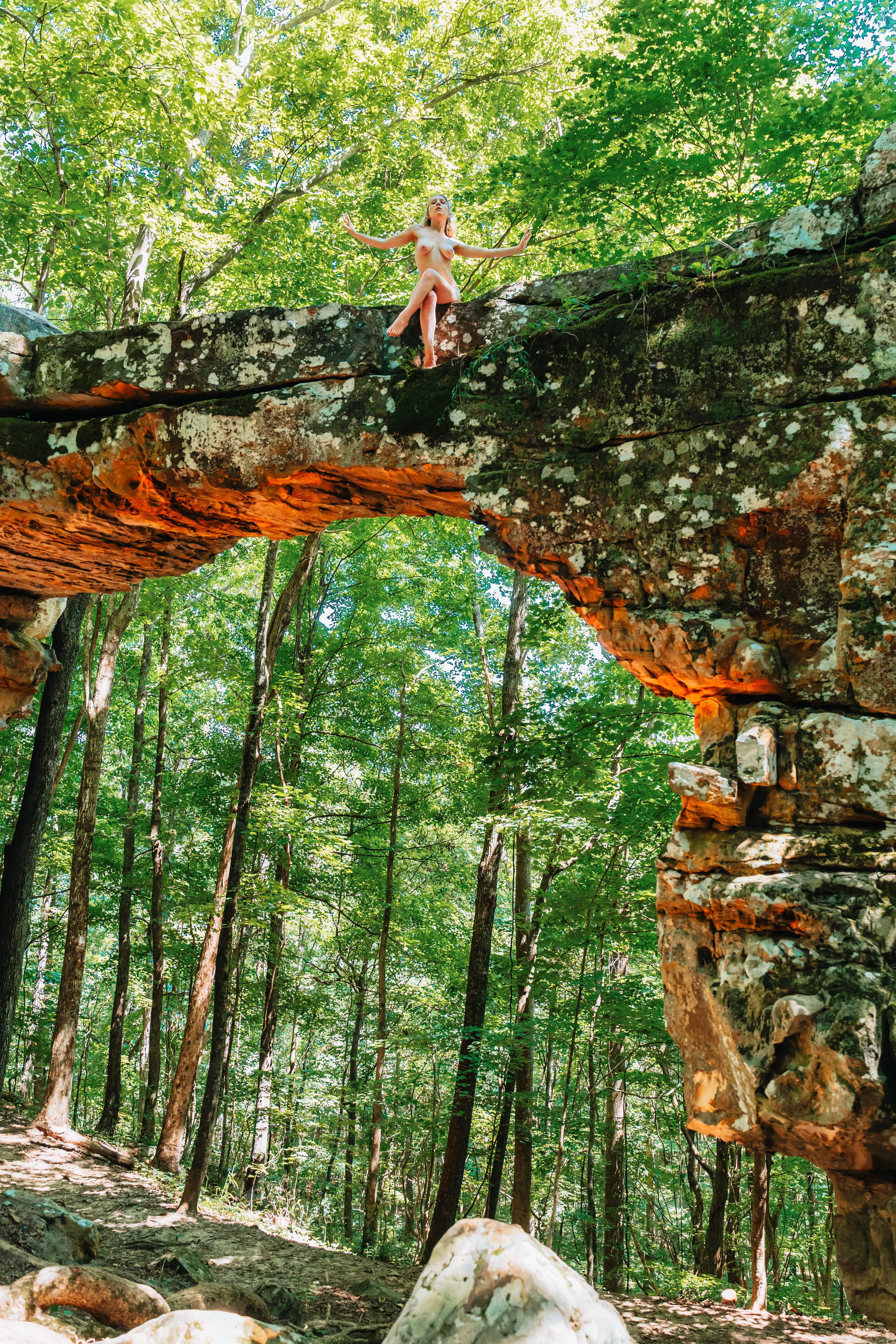 Queen of the woods