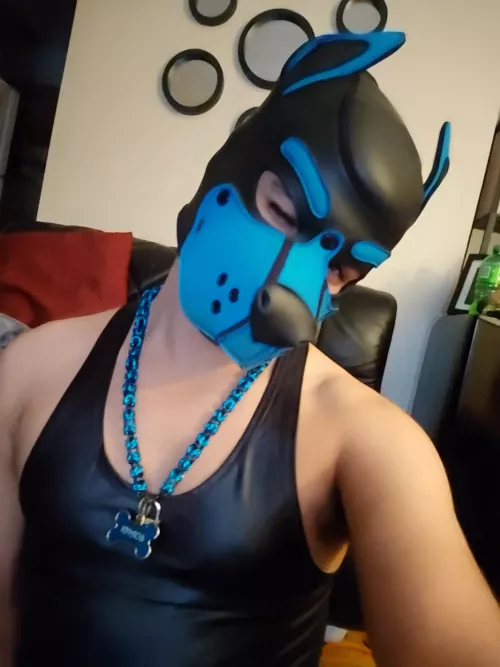 Awruff, heya puppers, hope you all behaving... do I need to make the rounds again to confirm? 😏🐶