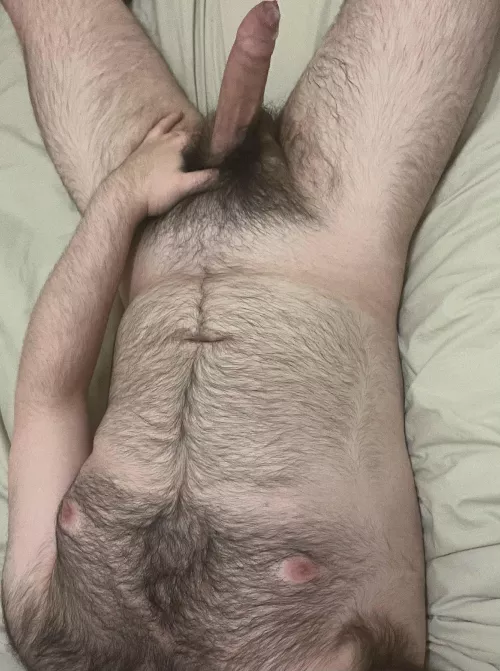 Evening boys! Just my hairy uncut bear cock for you guys 😈🐻