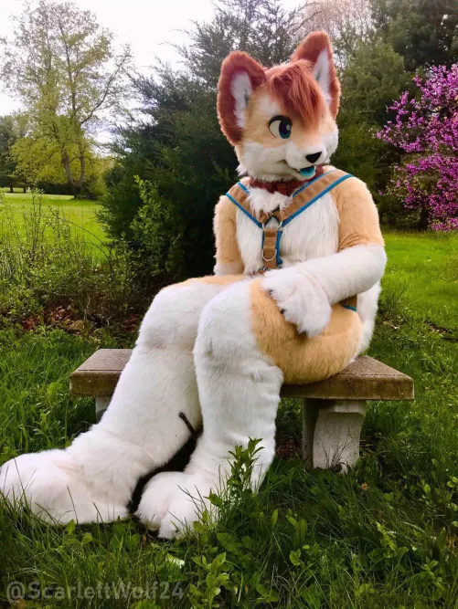 Happy #FursuitFriday! 🐾🐾