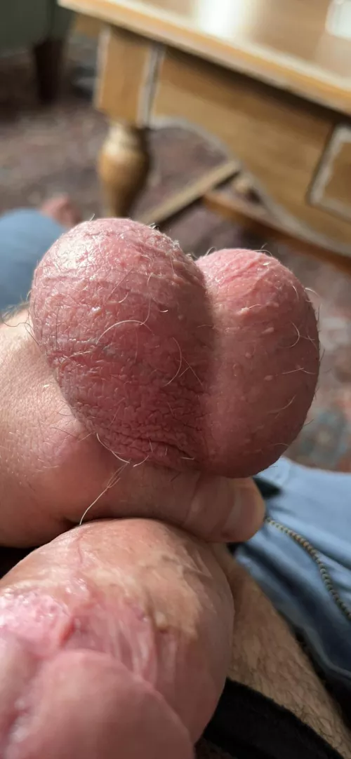 I’m gonna use your tongue to wash my big balls