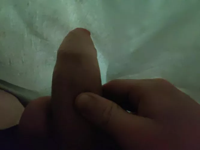 Little cuck can't seems to breed her and isn't behaving with his bull. kik him @ whatever12345_6. Kik me at jbuzz3682 if you want the same.