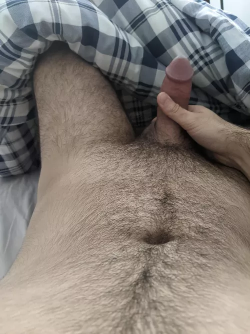 Morning wood
