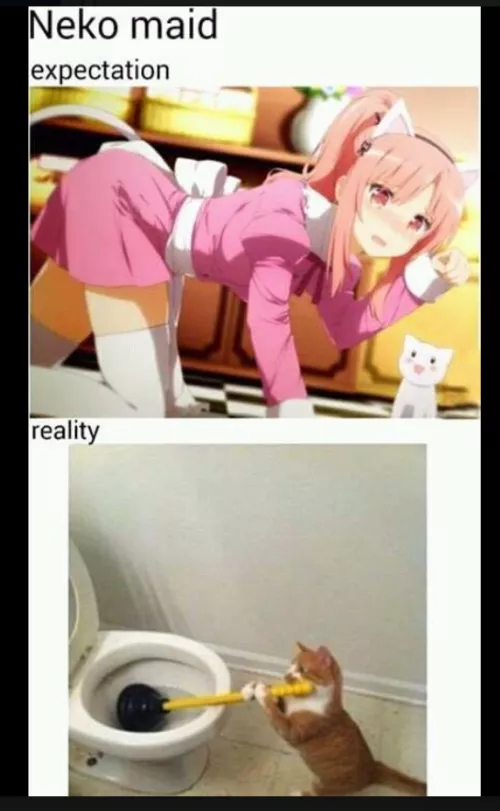 When a dom tells you she wants a cat maid..