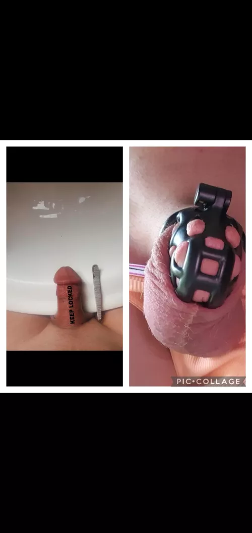 It's pretty obvious she's doing the right thing.