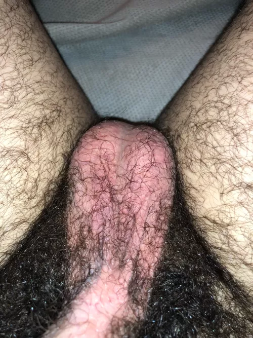 The pair of hairy balls you were looking for