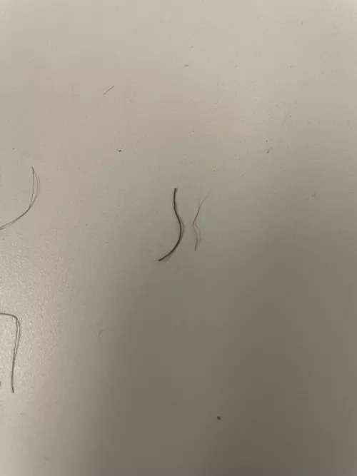 This bitch I pulled out of my face