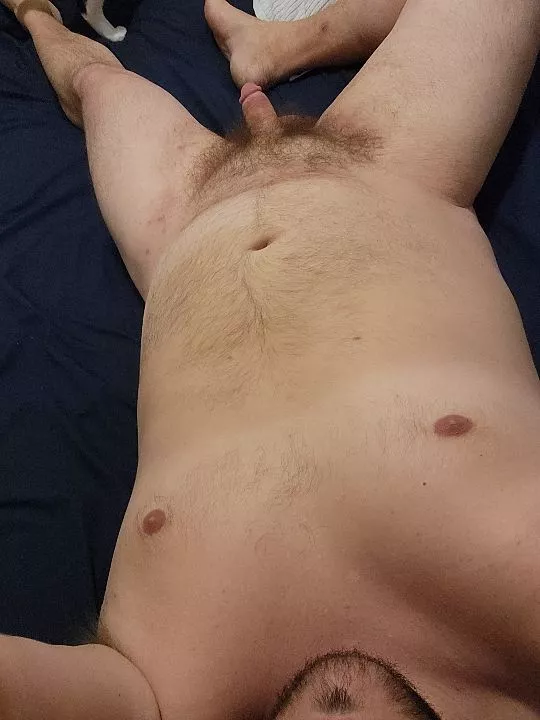 Bear 🐻 or nah?