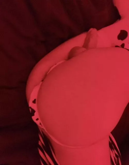 cow print is so cute 😫😫