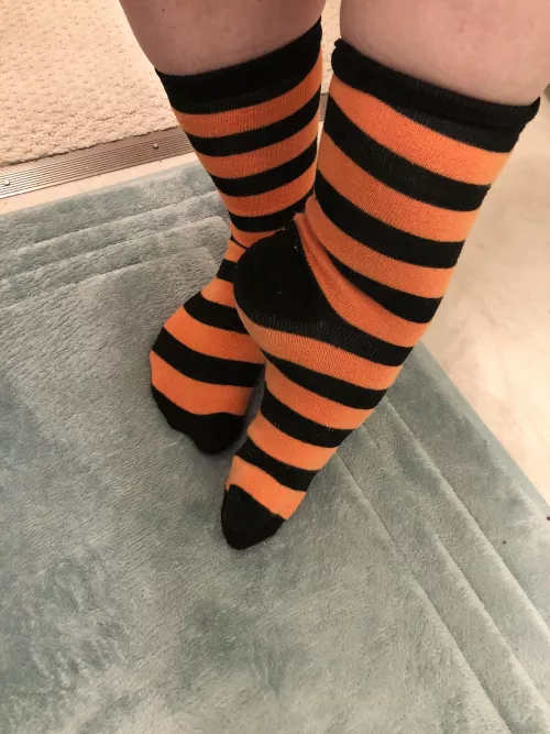Halloween socks 🎃 (F)