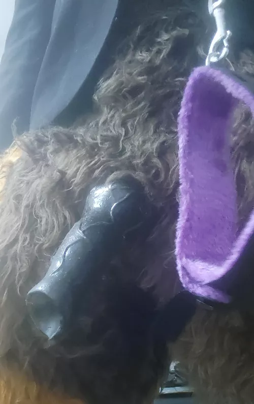 I'm a good person~ the collar is not an option but at least you'll be comfy with it~