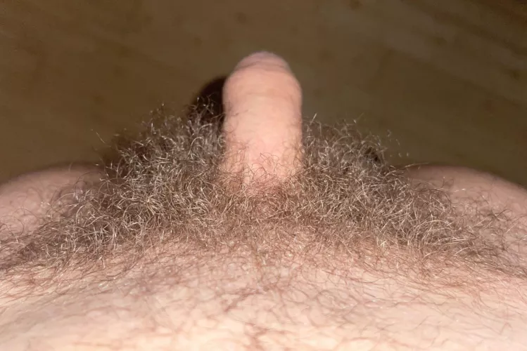 Is my bush big enough?