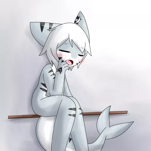 tired shork