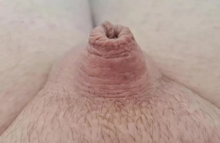 What does everyone think of my naturally tiny sissy clit?