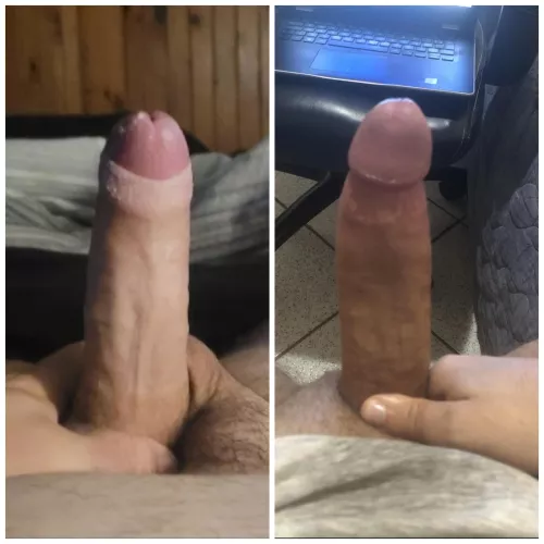 2 big cocks. which one you taking?