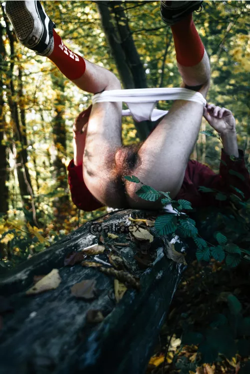 Do u want to go with me in the dream forest?