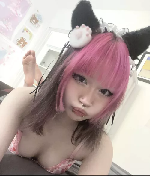 hope u like cute kittens 😸