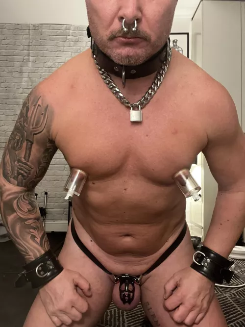 sslaves daily acts of submission: body fully shaved, scalp shaved, chain padlock visible, permanent chastity, plugged, naked indoors, septum piercing, tits pumped….