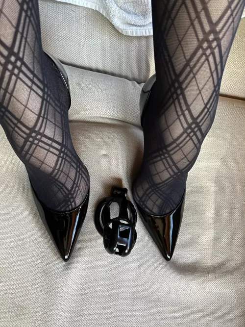 Who out there has never worn one, but would like to ?