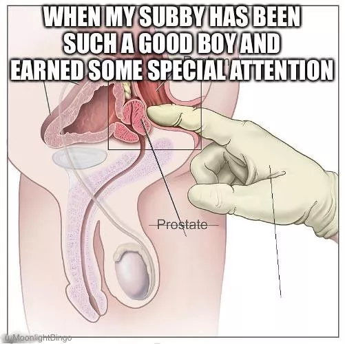 Can’t wait to experience that ✨special attention✨with my good sub 😉❤️