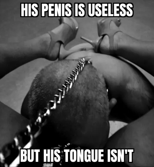 Chasity Boys Love to Lick