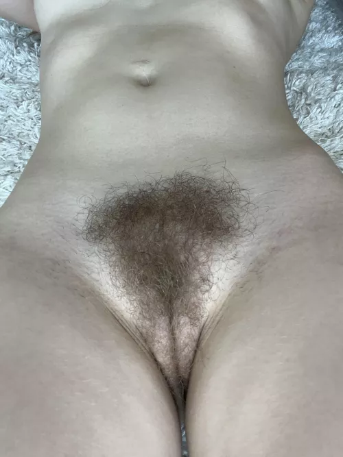 do you like my triangle?