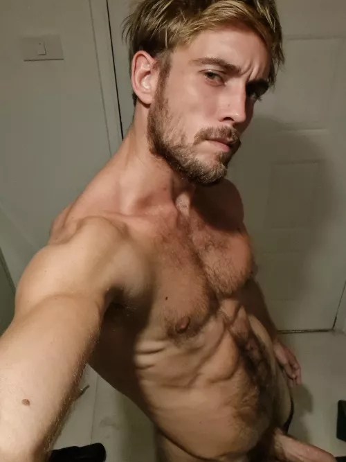 hello I think it fits