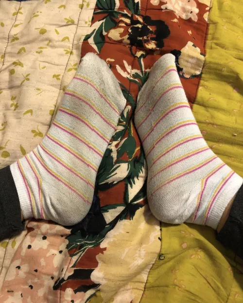[selling] used socks 🧦 $10 a pair 🤢 dm me for details 🤮