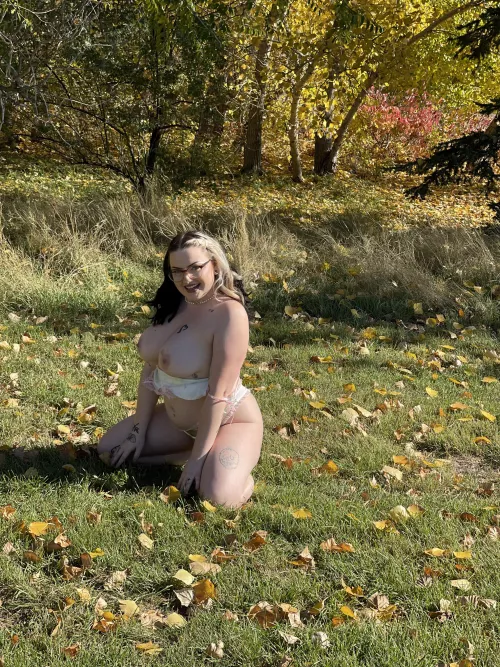 What am I looking at? Best answer wins a prize