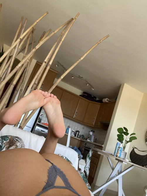 Your view when i’m sucking your cock