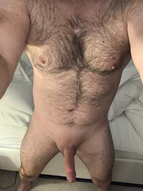 [30] Would a closet sub starting his journey into pup play interest you in some chat? How about putting me in chastity and placing a collar around my neck?